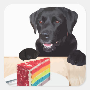 Black Lab Rainbow Cake Dog Geburtstagsparty Quadratischer Aufkleber
