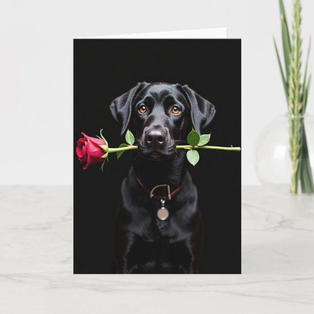 Black Lab Rose Valentine Card Karte (Vorderseite)