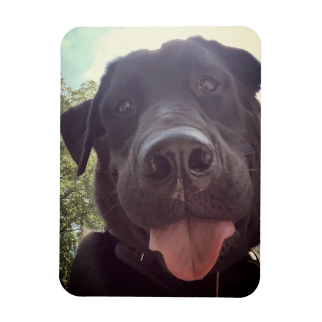 Black Lab Selfie Dog Foto Magnet (Vertikal)