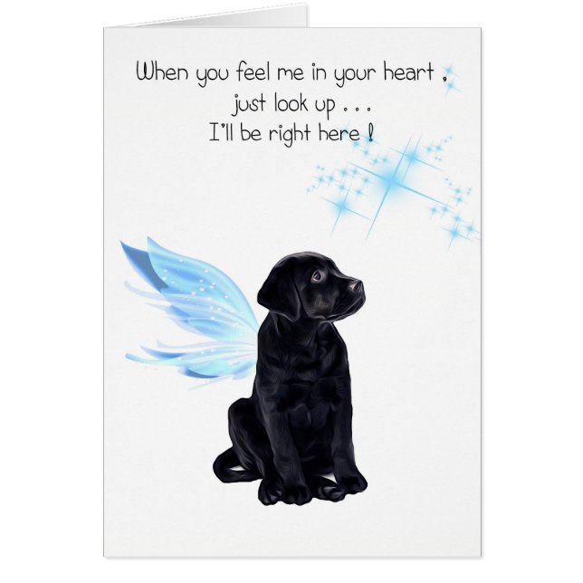 Black Lab Sympathy Card - Hund Beileid - Heimtierv (Vorne)
