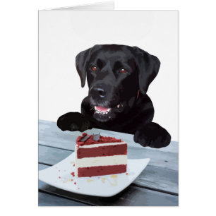 Black Lab Toutes les Occasions Carte - Chig Cake A