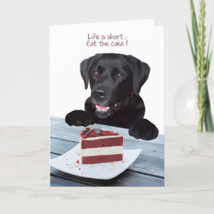 Black Lab Toutes les Occasions Carte - Chig Cake A