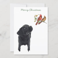Black Lab Weihnachts-Kardinal Niedlich Dog Labrado
