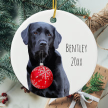 Black Lab Weihnachts Pet Labrador Welpe Niedlich H