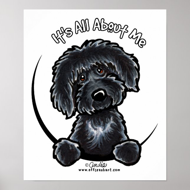 Black Labradodle IAAM Poster (Vorne)