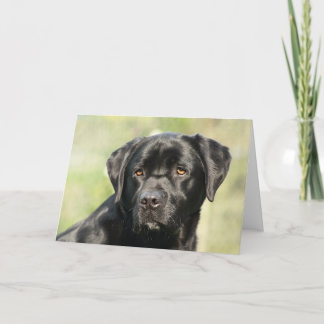 Black Labrador Birthday Card Karte (Vorderseite)