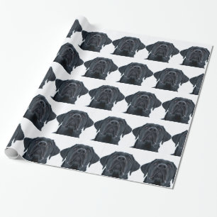 Black Labrador Facing Geschenkpapier