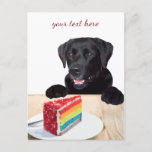 Black Labrador - Happy Birthday - Thank You - Dog Postkarte<br><div class="desc">Send a sweet message with this Black Lab all-occasion postcard !</div>