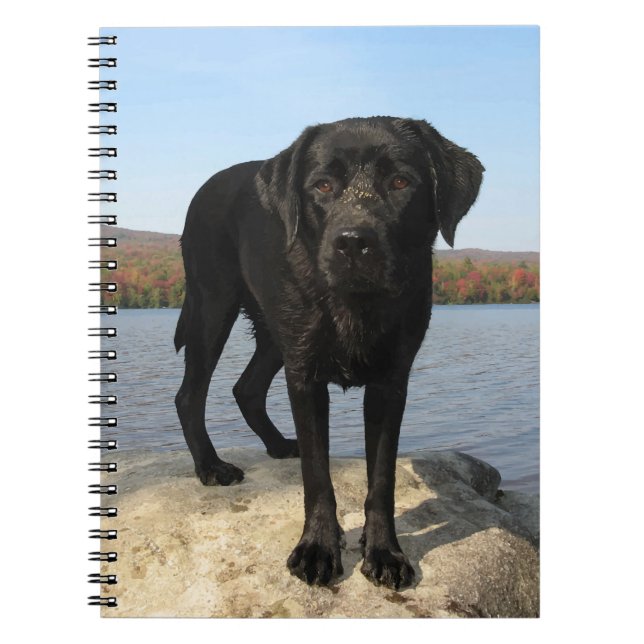 Black Labrador Hund Lover Puppy Notizblock (Vorderseite)