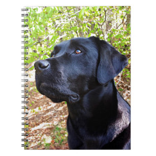 Black Labrador Hund Lover Puppy Notizblock