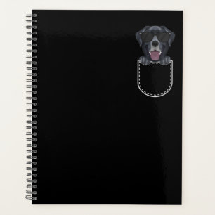 Black Labrador In The Breast Pocket