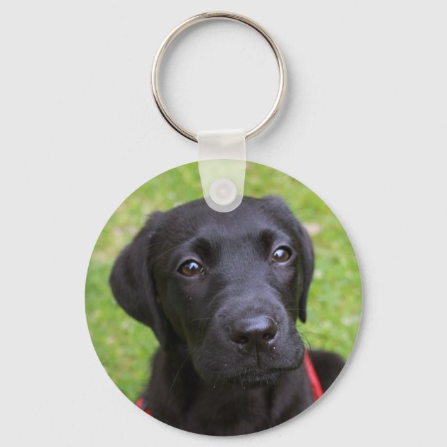 Black Labrador Key Ring Schlüsselanhänger (Vorderseite)