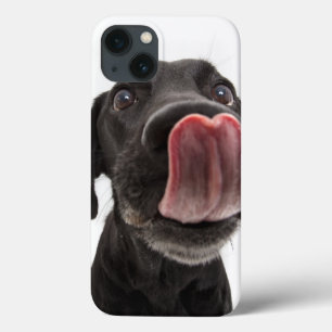 Black Labrador Licking Its Nose Case-Mate iPhone Hülle