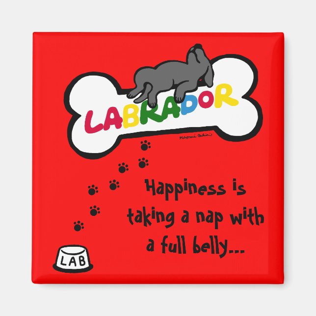 Black Labrador mit einem vollen Bauch-Cartoon Magnet (Vorne)