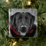 Black Labrador Photo Pet Dog Ceramic Ornament<br><div class="desc">Black Labrador Photo Pet Dog Ceramic Ornament</div>