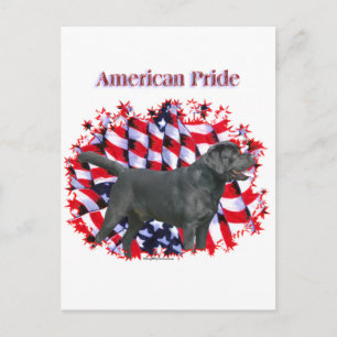 Black Labrador Pride Postkarte
