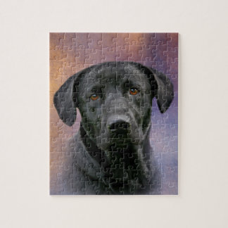 Black Labrador Retriever