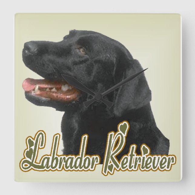 Black Labrador Retriever Art Gifts Quadratische Wanduhr (Vorderseite)
