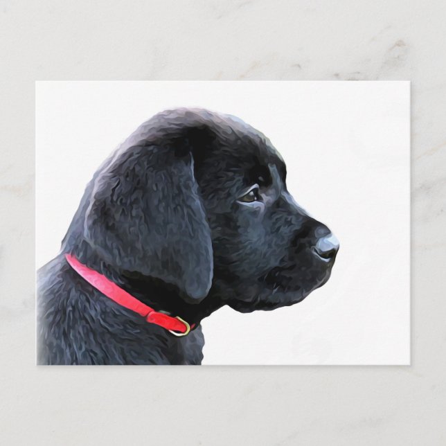 Black Labrador Retriever Cute Puppy - Black Lab Postkarte (Vorderseite)