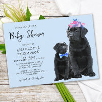 Black Labrador Retriever Dog Welpe Blue Boy