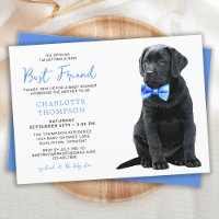 Black Labrador Retriever Kinderdusche Niedlich Ein