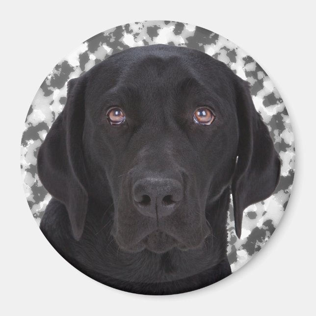 Black Labrador Retriever Magnet (Vorne)