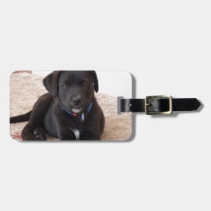 Black Labrador Retriever Puppy Gepäckanhänger