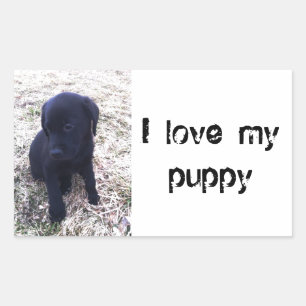 Black Labrador Retriever Puppy Rechteckiger Aufkleber