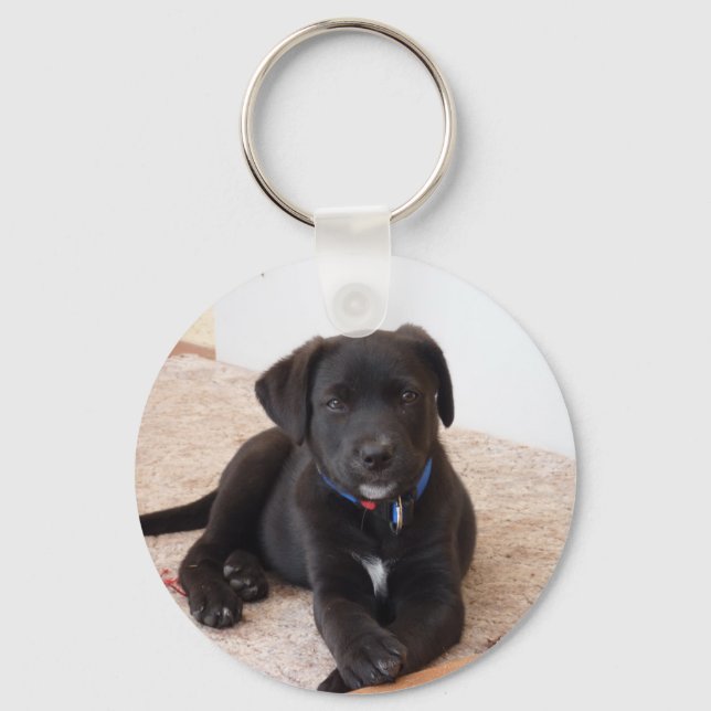 Black Labrador Retriever Puppy Schlüsselanhänger (Vorderseite)