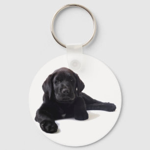 Black Labrador Retriever Puppy Schlüsselanhänger