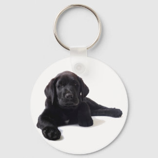Black Labrador Retriever Puppy Schlüsselanhänger