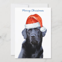 Black Labrador Retriever Weihnachten Niedlicher We