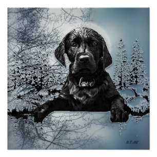 Black Labrador Retriever Welppy T - Shirt Throw Pi Poster
