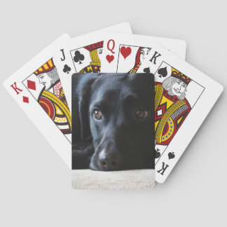 Black Labrador Spielkarten