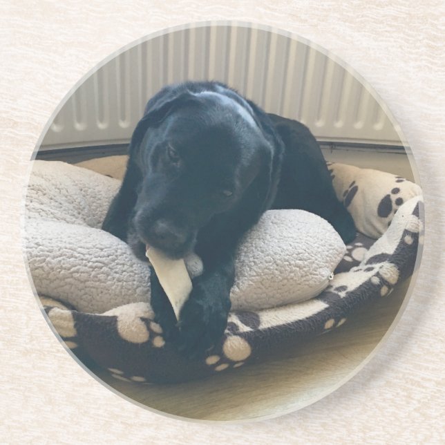 Black Labrador Untersetzer (Vorne)