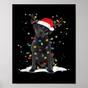 Black Labrador Weihnachts Hund Weihnachtsbaum Lich Poster