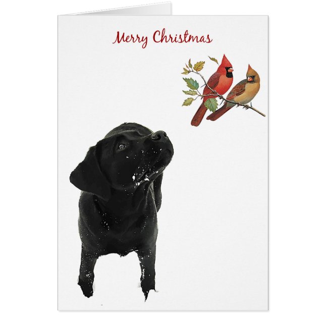 Black Labrador Weihnachtskarte (Vorne)