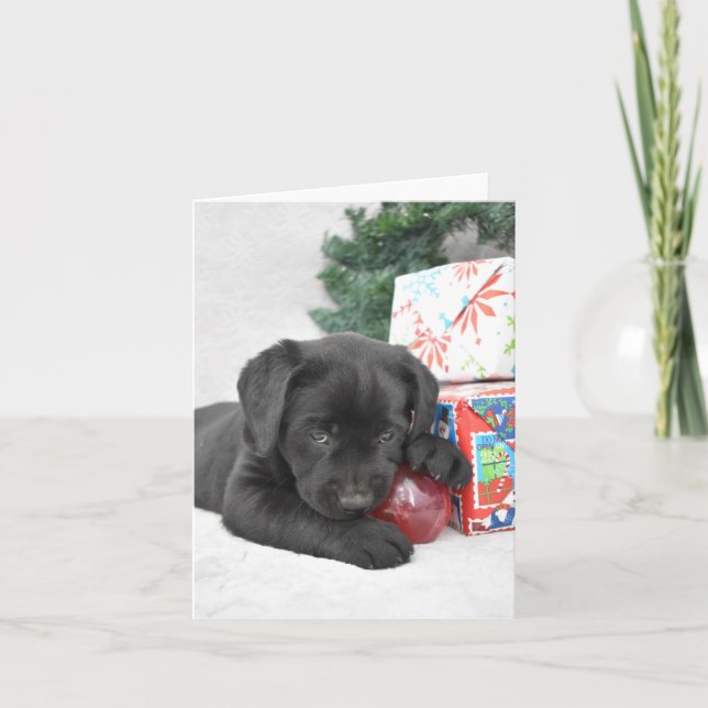 Black Labrador Welpe mit Weihnachtsgeschenken Dankeskarte (Vorderseite)