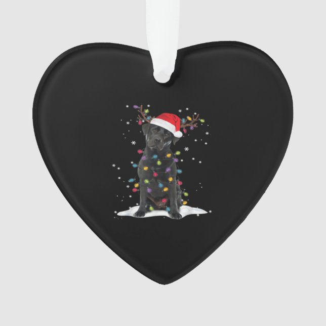 Black Labrador Xmas Dog Christmas Tree Light Class (devant)