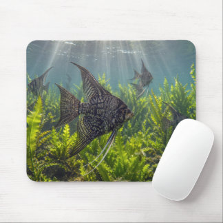 Black Lace Angelfish in Seaweed Mousepad
