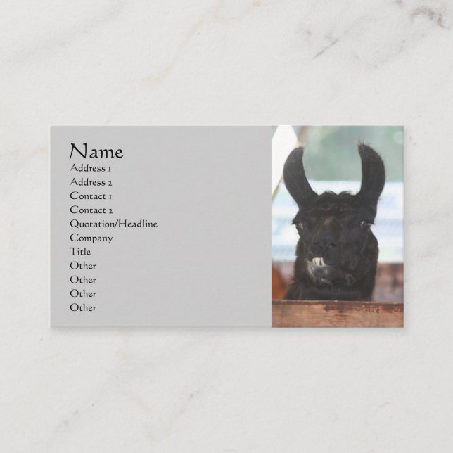 Black Lama Farm Animal Business Card Visitenkarte (Vorderseite)