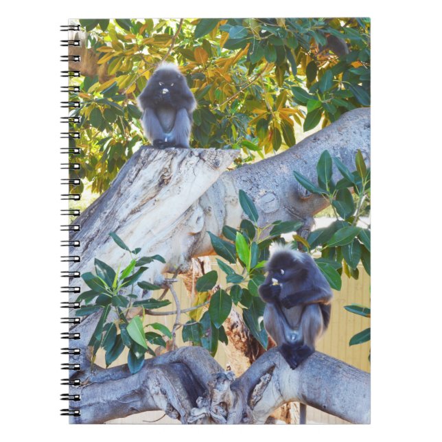 Black Langur Affen Eating, Notebook Notizblock (Vorderseite)