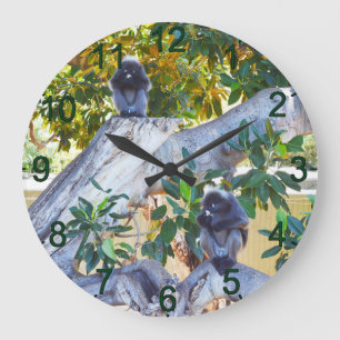 Black Langur Monkeys Eating, Wall Clock Große Wanduhr