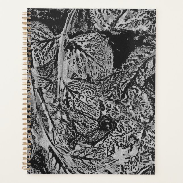 Black leafs planer (Vorderseite)