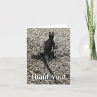 Black Lizard