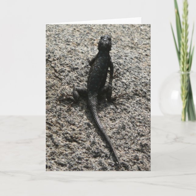 Black Lizard Karte (Vorderseite)