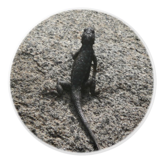 Black Lizard Keramikknauf (Vorderseite)