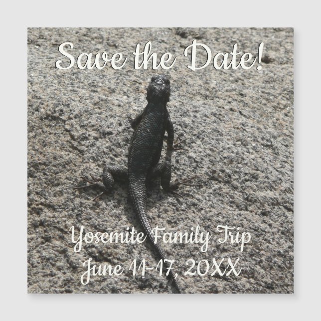 Black Lizard Magnetkarte (Vorderseite)