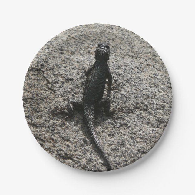 Black Lizard Pappteller (Vorderseite)