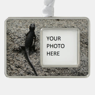 Black Lizard Rahmen-Ornament Silber